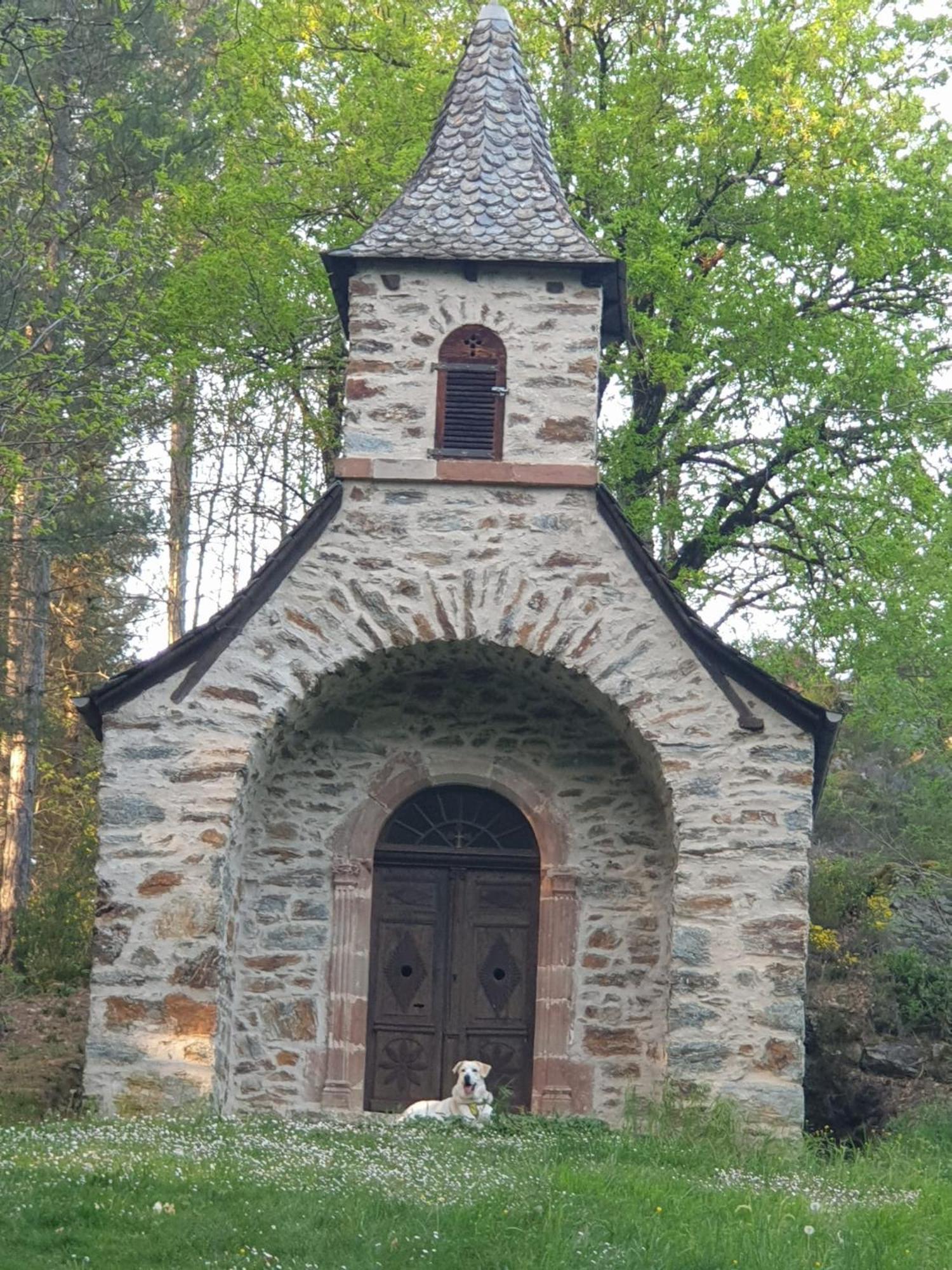 Aux Gorges Du Dourdou Hotel Conques-en-Rouergue Eksteriør billede
